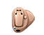 CIC